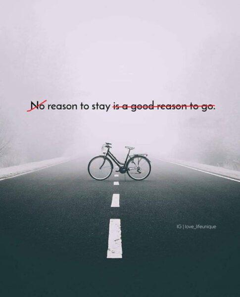 reason to stay